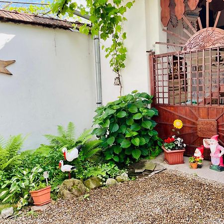 לינה וארוחת בוקר Tărcaia Balla House מראה חיצוני תמונה