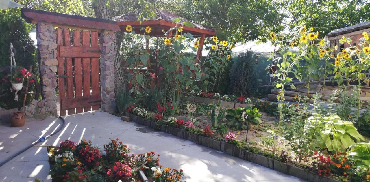 לינה וארוחת בוקר Tărcaia Balla House מראה חיצוני תמונה
