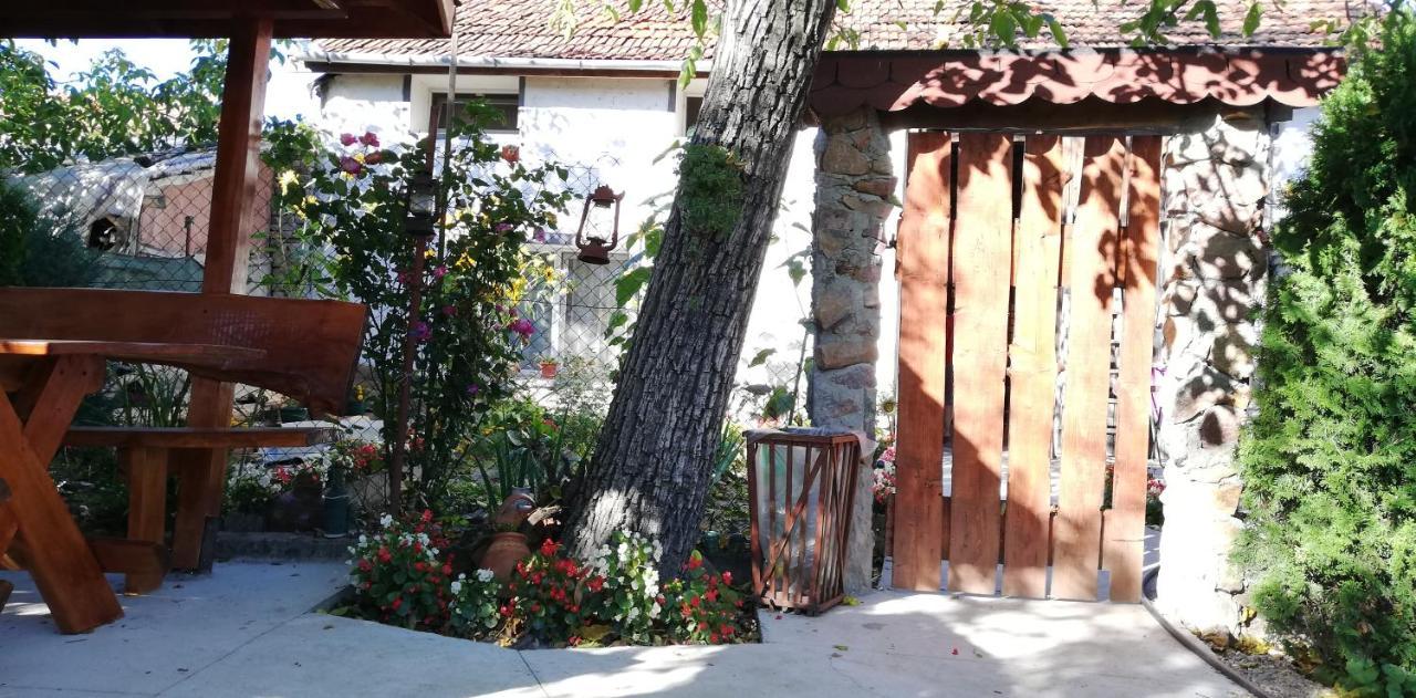 לינה וארוחת בוקר Tărcaia Balla House מראה חיצוני תמונה