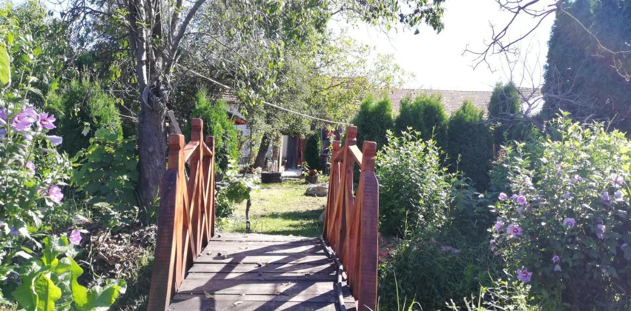 לינה וארוחת בוקר Tărcaia Balla House מראה חיצוני תמונה