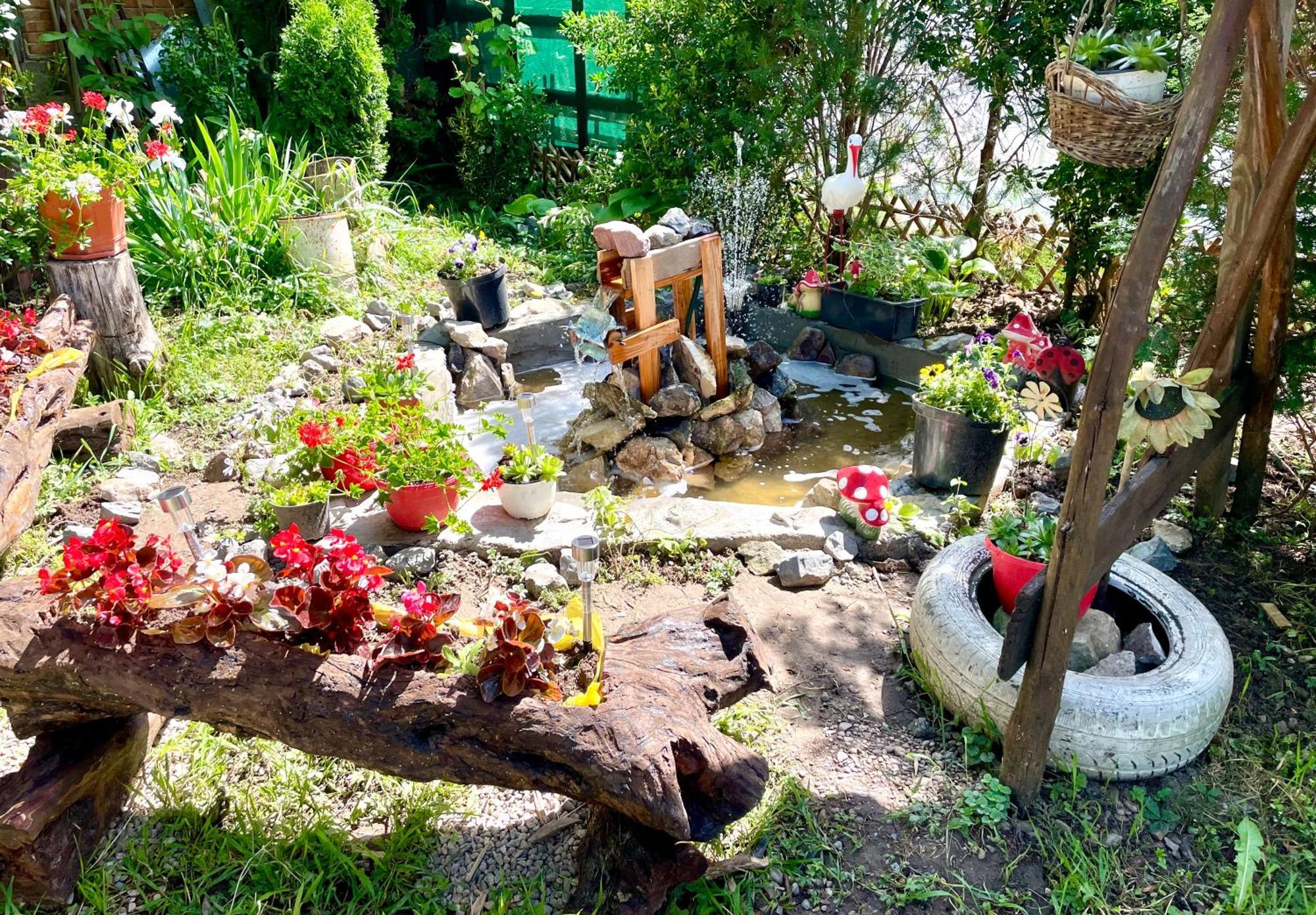 לינה וארוחת בוקר Tărcaia Balla House מראה חיצוני תמונה