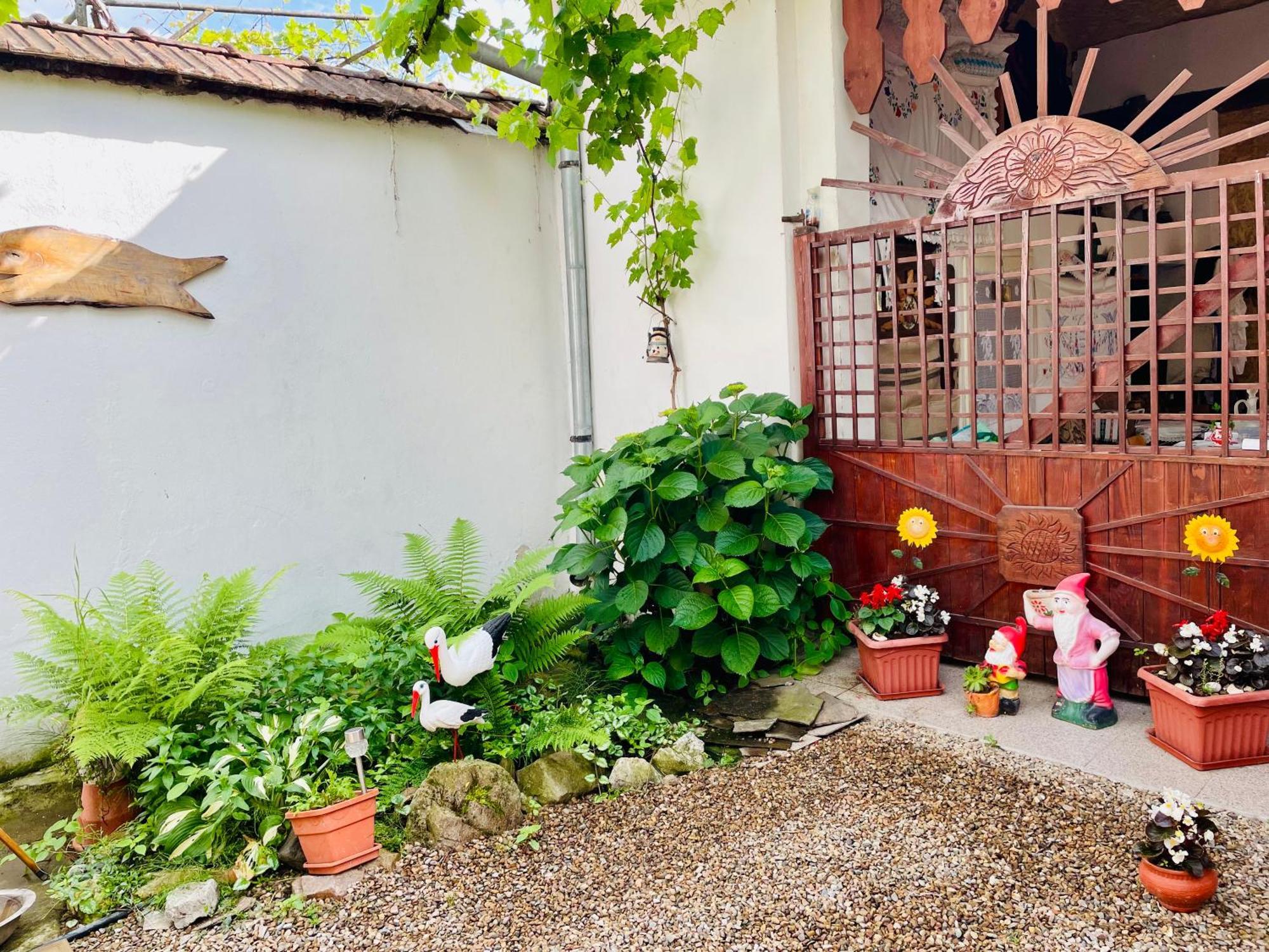 לינה וארוחת בוקר Tărcaia Balla House מראה חיצוני תמונה